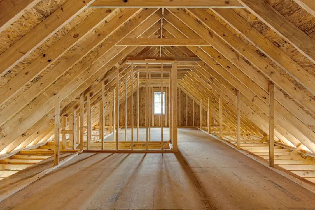 Building and Pest Inspection Maryborough